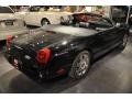 2005 Evening Black Ford Thunderbird Premium Roadster  photo #7