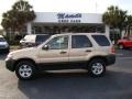 Dune Pearl Metallic 2007 Ford Escape XLT