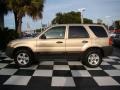 Dune Pearl Metallic - Escape XLT Photo No. 2