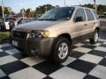Dune Pearl Metallic - Escape XLT Photo No. 3