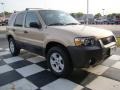 Dune Pearl Metallic - Escape XLT Photo No. 5