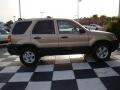 Dune Pearl Metallic - Escape XLT Photo No. 6