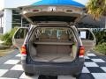 Dune Pearl Metallic - Escape XLT Photo No. 13