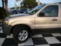 Dune Pearl Metallic - Escape XLT Photo No. 28