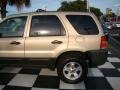 Dune Pearl Metallic - Escape XLT Photo No. 29