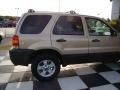 Dune Pearl Metallic - Escape XLT Photo No. 30