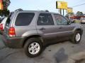 2007 Tungsten Grey Metallic Ford Escape XLT V6  photo #36