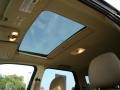Dune Pearl Metallic - Escape XLT Photo No. 34