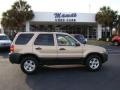 Dune Pearl Metallic - Escape XLT Photo No. 36