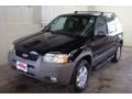 2002 Black Clearcoat Ford Escape XLT V6 4WD  photo #4