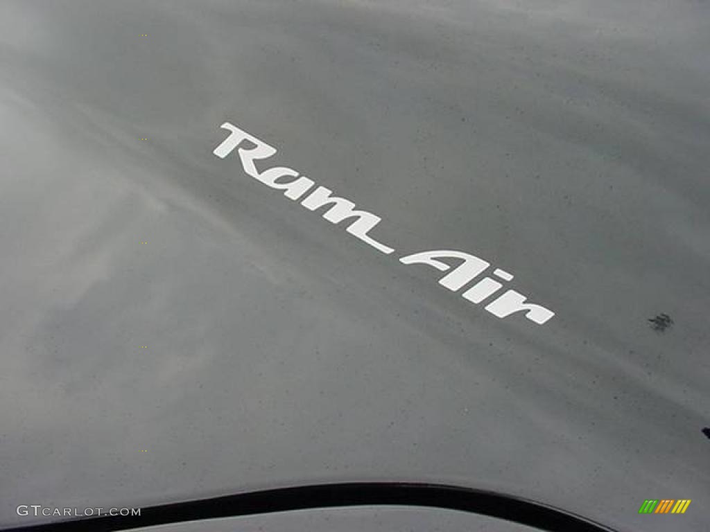 1999 Pontiac Firebird Trans Am WS-6 Coupe Marks and Logos Photo #23872603