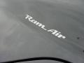 1999 Pontiac Firebird Trans Am WS-6 Coupe Badge and Logo Photo