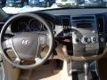 2008 Stone White Hyundai Veracruz GLS  photo #20