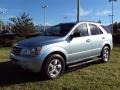 2008 Ice Blue Kia Sorento LX  photo #1