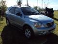 2008 Ice Blue Kia Sorento LX  photo #11