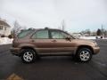 Desert Bronze Metallic - RX 300 AWD Photo No. 11