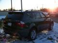 Highland Green Metallic - X3 3.0i Photo No. 5