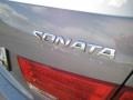 Steel Gray - Sonata GLS Photo No. 21