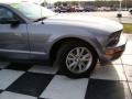2006 Tungsten Grey Metallic Ford Mustang V6 Deluxe Coupe  photo #22