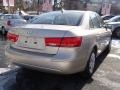 Camel Pearl - Sonata GLS Photo No. 7