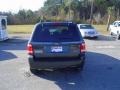 2009 Black Pearl Slate Metallic Ford Escape XLT V6  photo #6