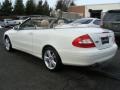 2008 Arctic White Mercedes-Benz CLK 350 Cabriolet  photo #6