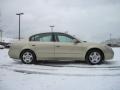 Velvet Beige - Altima 2.5 S Photo No. 4