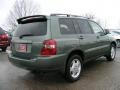 2006 Oasis Green Pearl Toyota Highlander Limited 4WD  photo #3
