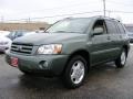 2006 Oasis Green Pearl Toyota Highlander Limited 4WD  photo #7