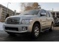 Silver Indulgence 2005 Infiniti QX 56 4WD