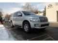 Silver Indulgence - QX 56 4WD Photo No. 3