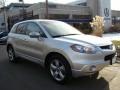 Alabaster Silver Metallic - RDX  Photo No. 1