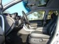 Alabaster Silver Metallic - RDX  Photo No. 8