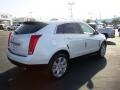 Platinum Ice Tricoat - SRX V6 Photo No. 8