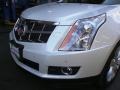 Platinum Ice Tricoat - SRX V6 Photo No. 11