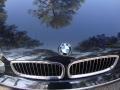 2004 Black Sapphire Metallic BMW 7 Series 745Li Sedan  photo #49