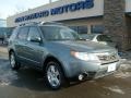 2009 Sage Green Metallic Subaru Forester 2.5 X Limited  photo #1