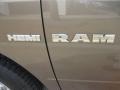 2010 Austin Tan Pearl Dodge Ram 1500 ST Quad Cab  photo #8