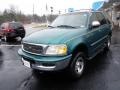 1998 Pacific Green Metallic Ford Expedition XLT 4x4  photo #8