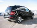 Black - ML 350 4Matic Photo No. 3