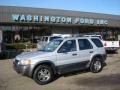 2004 Satin Silver Metallic Ford Escape XLT V6 4WD  photo #1