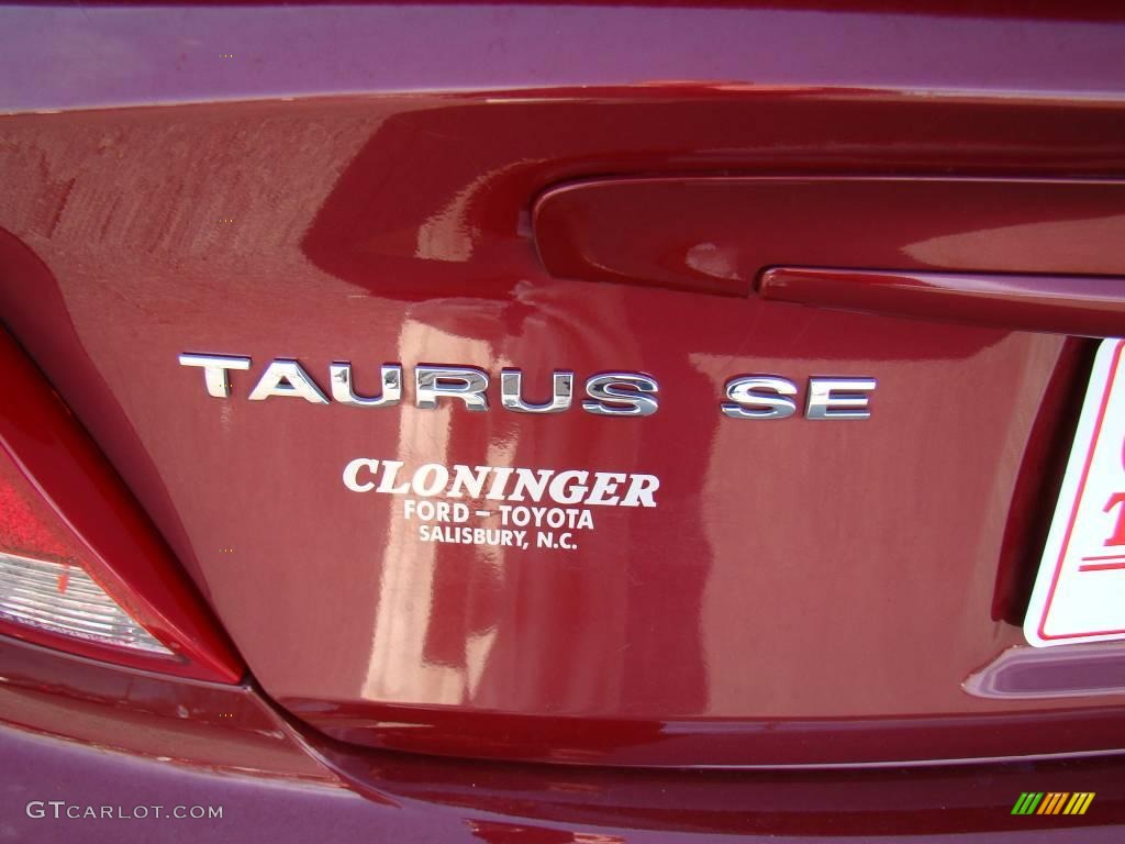 2004 Taurus SE Sedan - Merlot Metallic / Medium Parchment photo #14