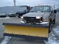 Arizona Beige Metallic - F350 Super Duty XLT Regular Cab 4x4 Photo No. 2