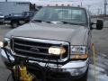 Arizona Beige Metallic - F350 Super Duty XLT Regular Cab 4x4 Photo No. 3