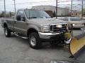 Arizona Beige Metallic - F350 Super Duty XLT Regular Cab 4x4 Photo No. 4