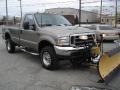 2003 Arizona Beige Metallic Ford F350 Super Duty XLT Regular Cab 4x4  photo #4