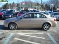 Golden Beige - Sonata GLS Photo No. 6