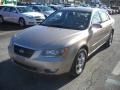 Golden Beige - Sonata GLS Photo No. 14
