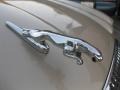 Topaz Metallic - XJ Vanden Plas Photo No. 29