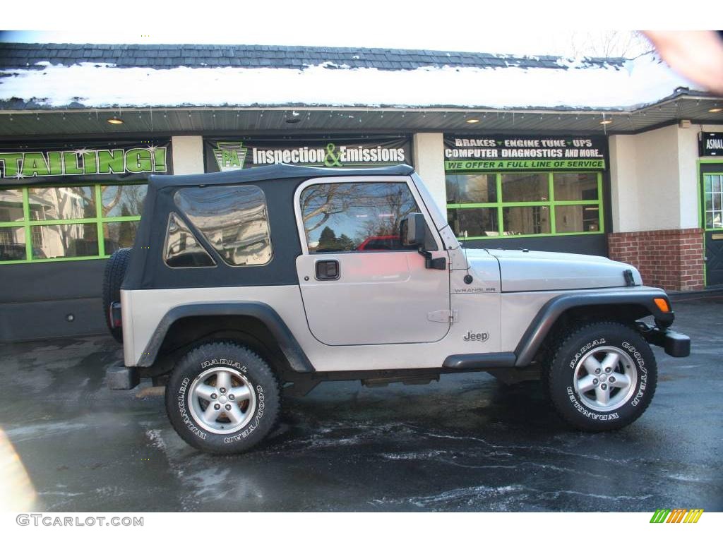 2000 Wrangler SE 4x4 - Silverstone Metallic / Agate photo #7